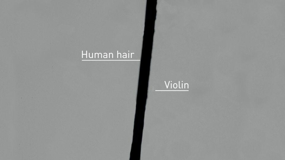 A black line demonstrating a human hair, with a small white speck showing the size of the violin