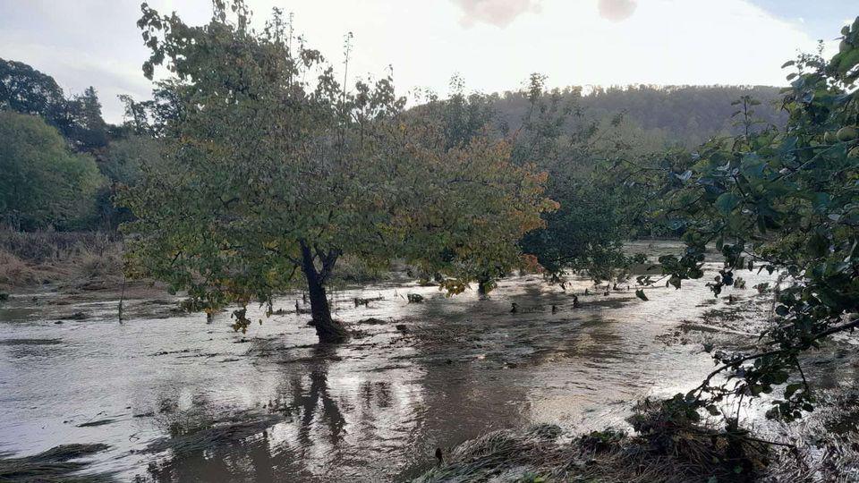 A field with a large tree in it is submerged in water. The water is brown and muddy, with piles of dirt peeking from the surface in places.