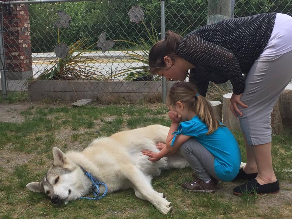 Kaoru was a service dog for children with special needs