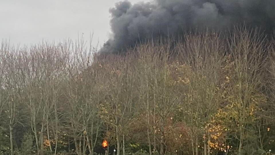 Plumes of thick black smoke are billowing into a clear sky. There are trees in the foreground and some flames can be seen among the foliage