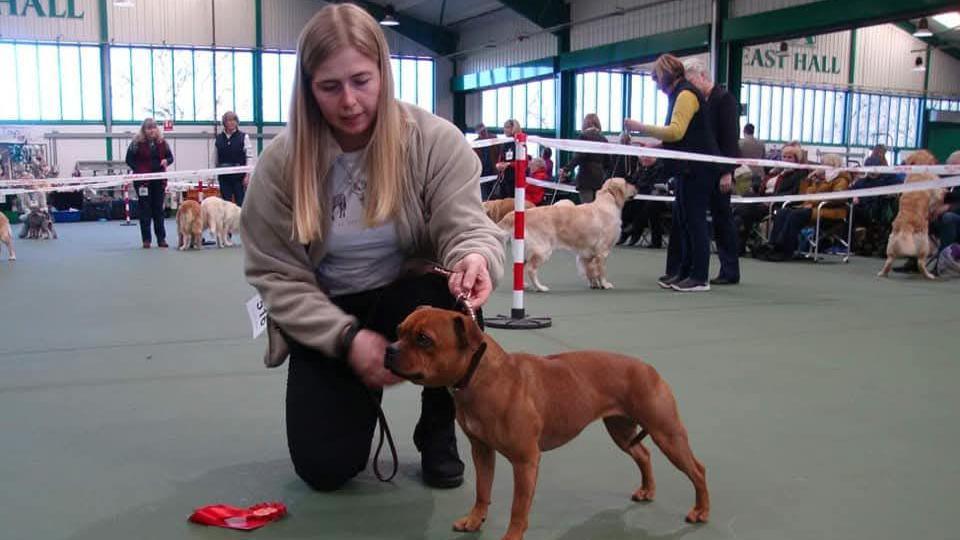 Jennie Logan with her dog Mouse at a dog show. She is putting a harness around Mouse's neck. She is kneeling down, facing the camera. Other people and their dogs can be seen in the background.