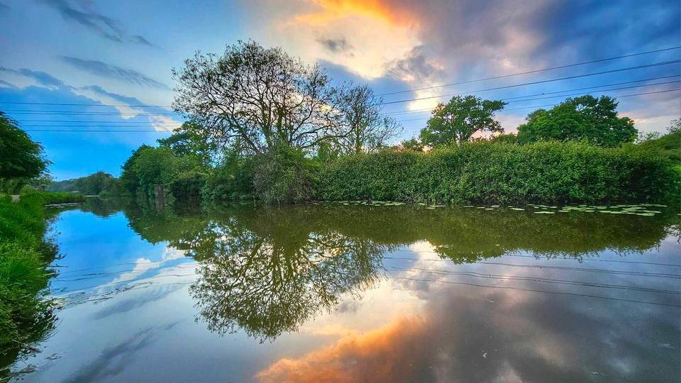 Trees and bushes reflecting in the water of a canal 