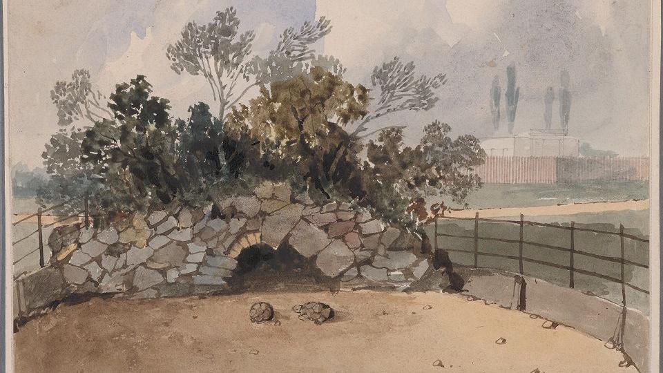 A drawing of a tortoise grotto at the Surrey Zoological Gardens - picture shows a little stone bridge 