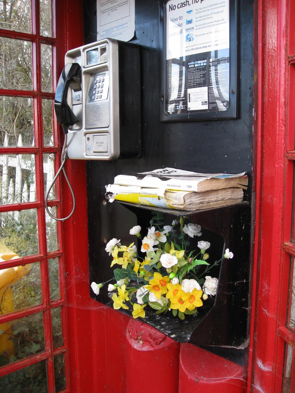 Flowers in a phone box