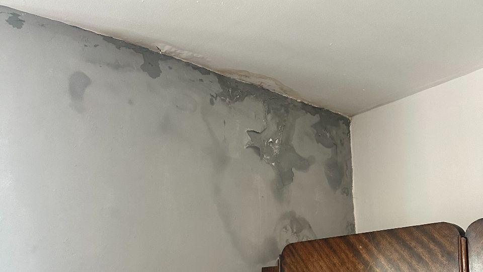 The corner of a room with a damp mouldy wall. 