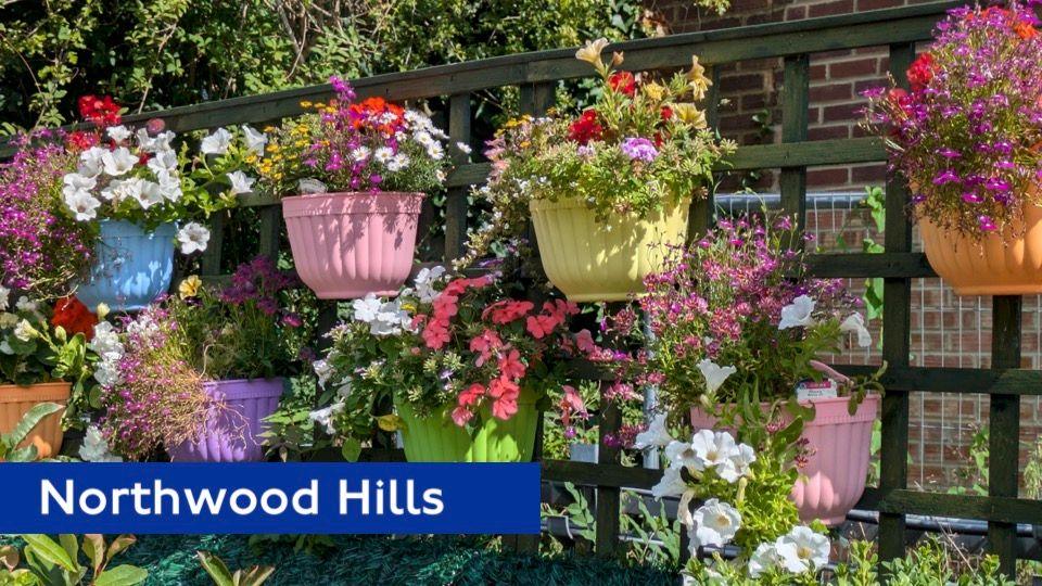 Colourful hanging baskets on a trellis in Northwood Hills station.