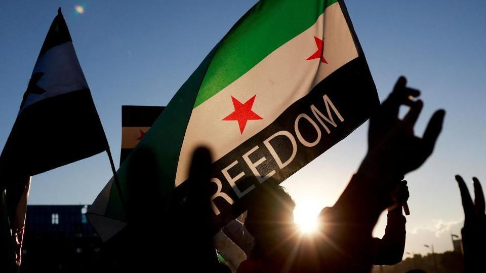 People at Syria rally, including one holding flag with word "freedom" on it