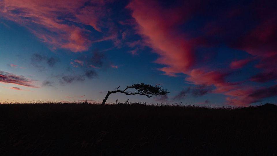 A night time photo of the south downs, dusky skies with pink clouds.