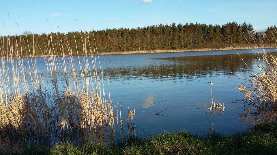 The old lagoon which has been filled in