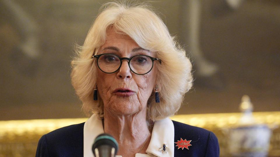 Queen Camilla speaking at St James's Palace