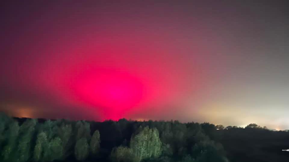 A pink/red sky above a forest of trees
