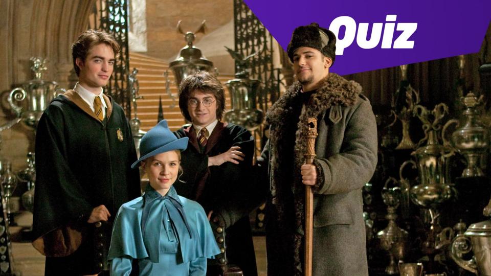 the triwizard champions from harry potter and the goblet of fire movie posing together as part of a promotional image for the film