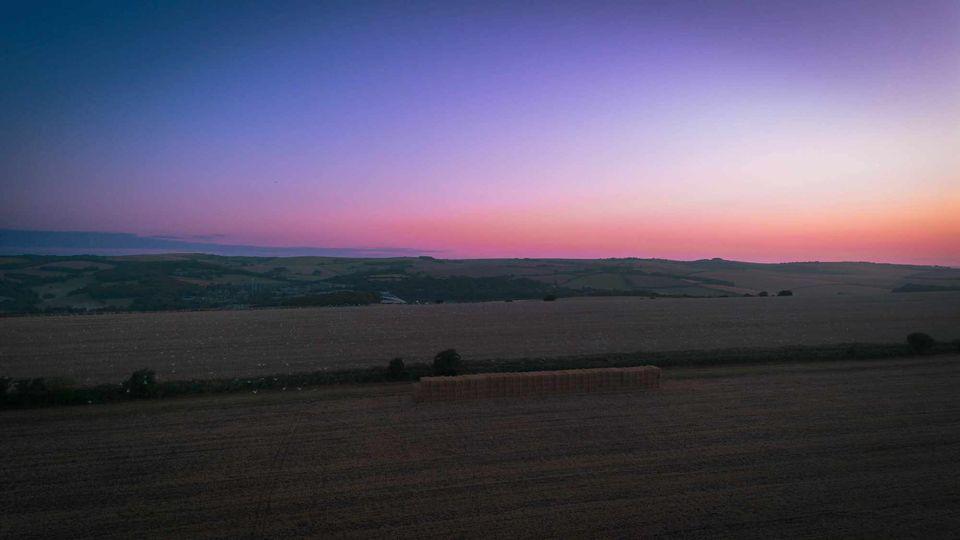 A field. with purple skies over.