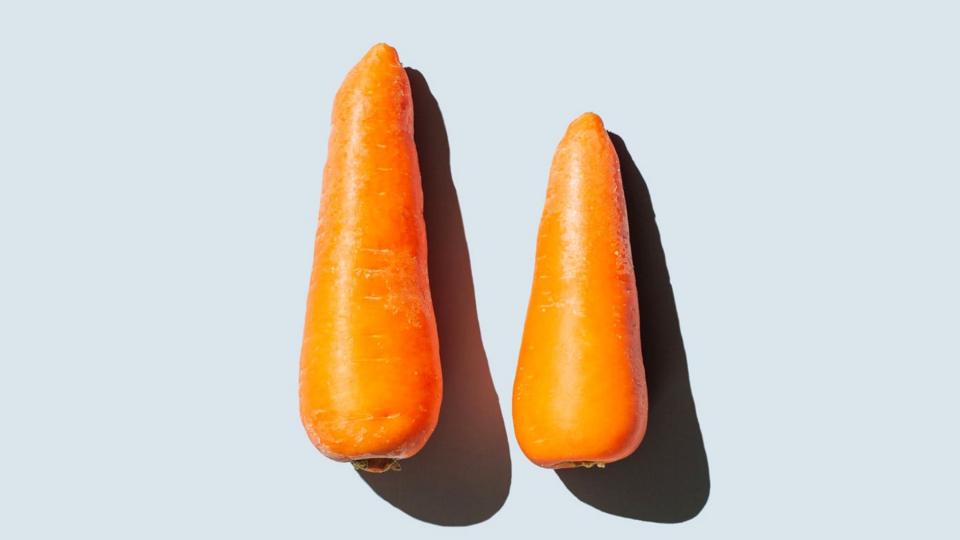 Two carrots on a light blue background