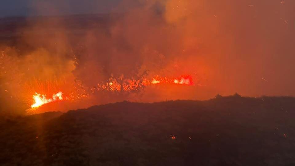 A large, orange wildfire that is burning on a hill during the night. The outlines of trees are lit up in the dark of the night by the bright orange flames.
