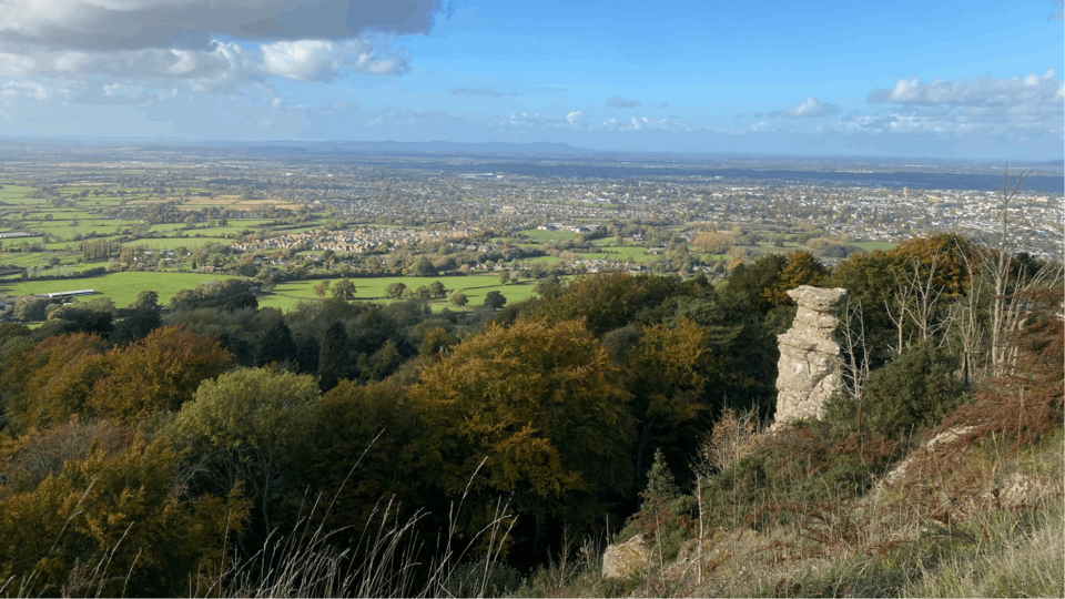 View from Leckhampton Hill by the limestone Devil's Chimney looking out across to Gloucester. There is a thick canopy of trees below the hill, with fields further in the distance.