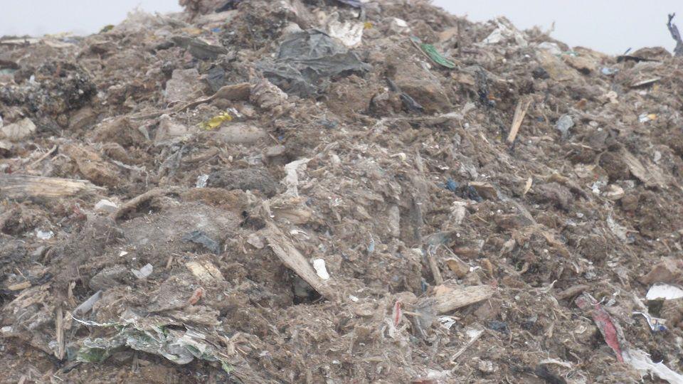 Waste at Coldicote Quarry, Hertfordshire