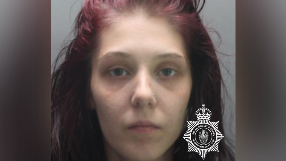 A mugshot of a woman with died red-purple hair. She is pale with a nose stud and is looking directly at the camera. The North Wales Police logo is in the bottom right of the image. 