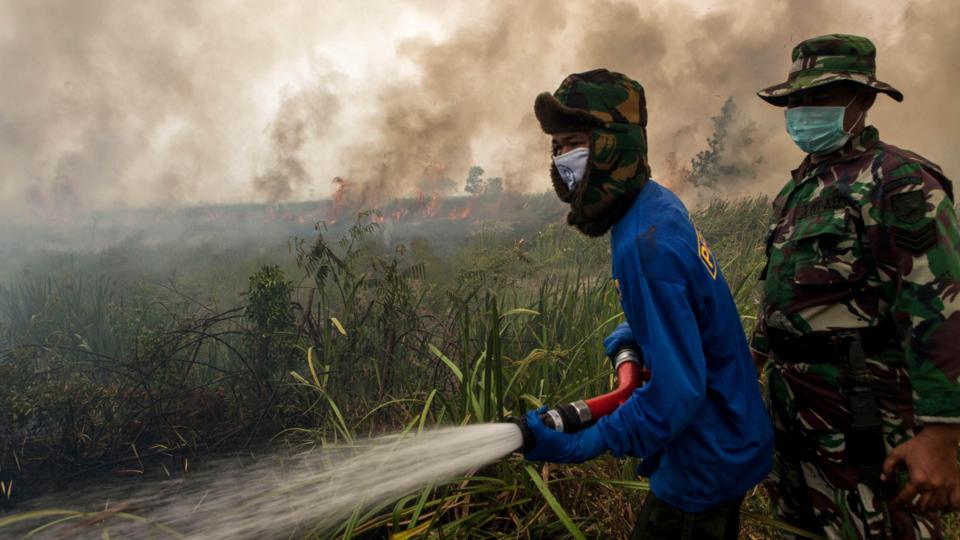 Science & Environment | Latest News & Updates | BBC News
