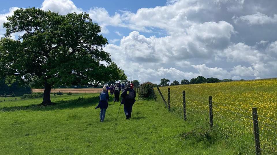 A group of people walking 