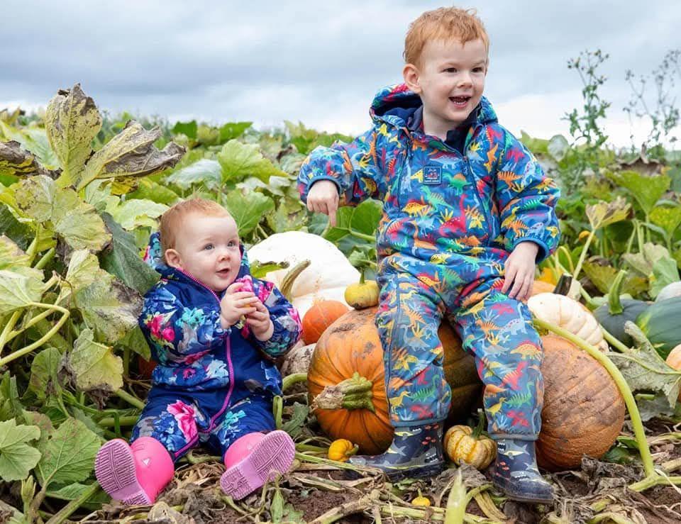 Two young children sit in a pumpkin patch. It's a cloudy overcast day and they are dressed in colourful rainsuits and wellies