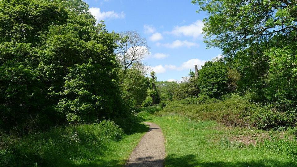 A path is in the middle of the image with short grass either side. There are tall trees and bushed leading either side of the pathway.