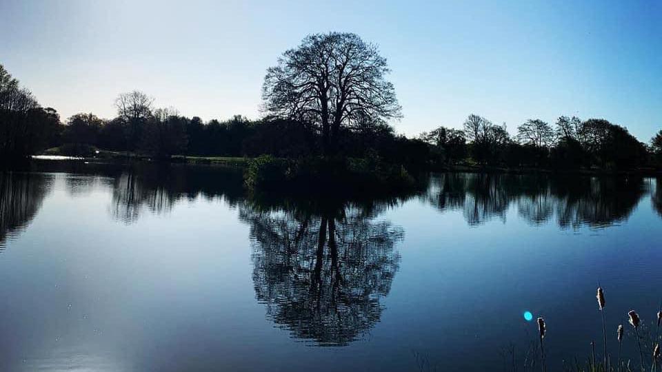 A lake with a blue sky above it. Silhouetted is a line of trees on one side of it