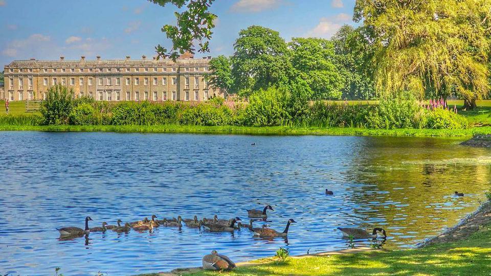 A grande house across a lake with ducks swimming