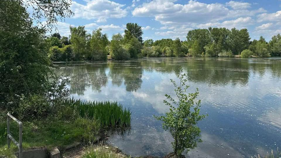 A view of Balderton Lake surrounded by trees