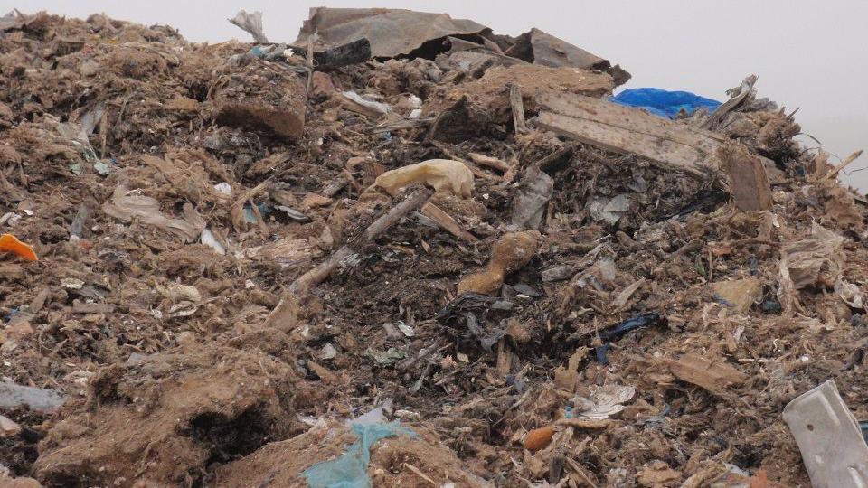 A pile of rubbish at Codicote Quarry: brown earth filled with rubbish including a blue plastic bag, a white plastic bag, stones, pieces of wood, and a piece or orange plastic