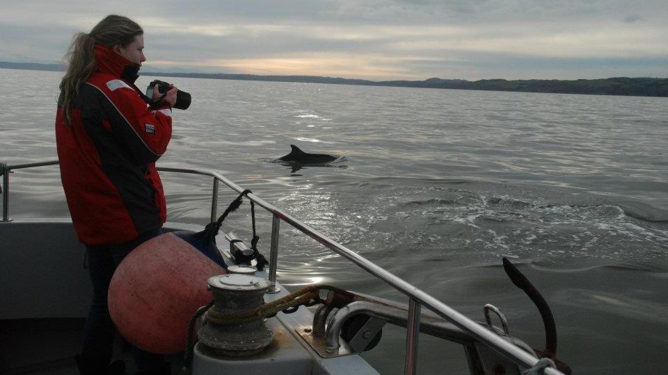 A woman standing on a boat holding a camera as she looks out at the water. A dolphin can be seen surfacing from the water in the background.