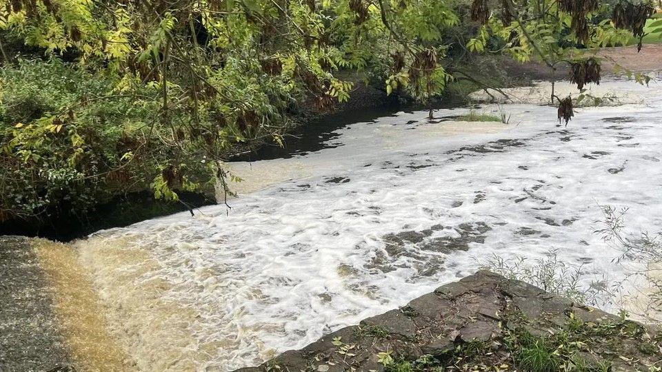 A weir along a river, with foaming water water and overhanging branches from nearby trees. There is a section of brick-built wall extending into the river alongside the weir.