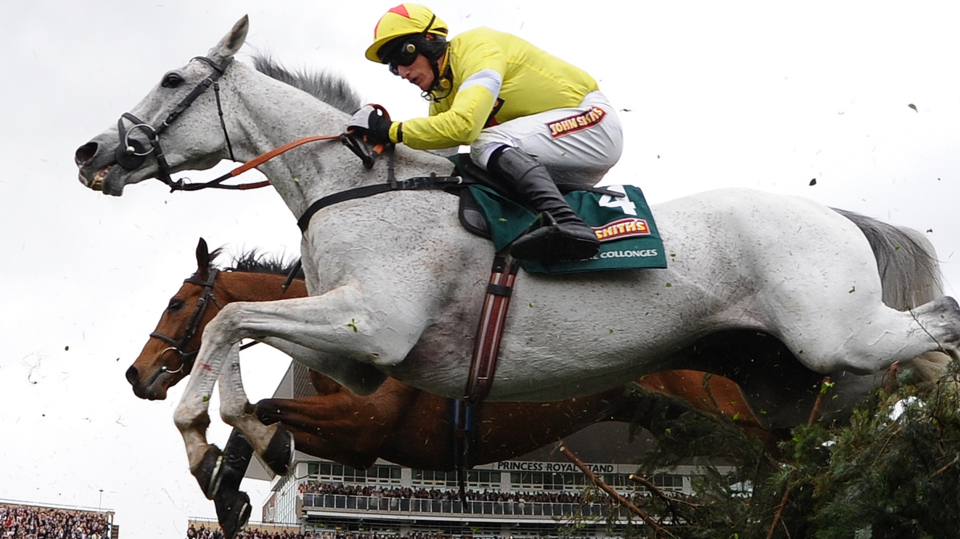 Horse Racing - Results, Schedule & Latest News