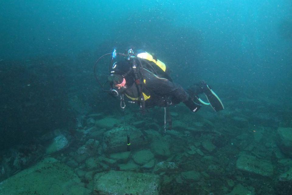 A diver underwater