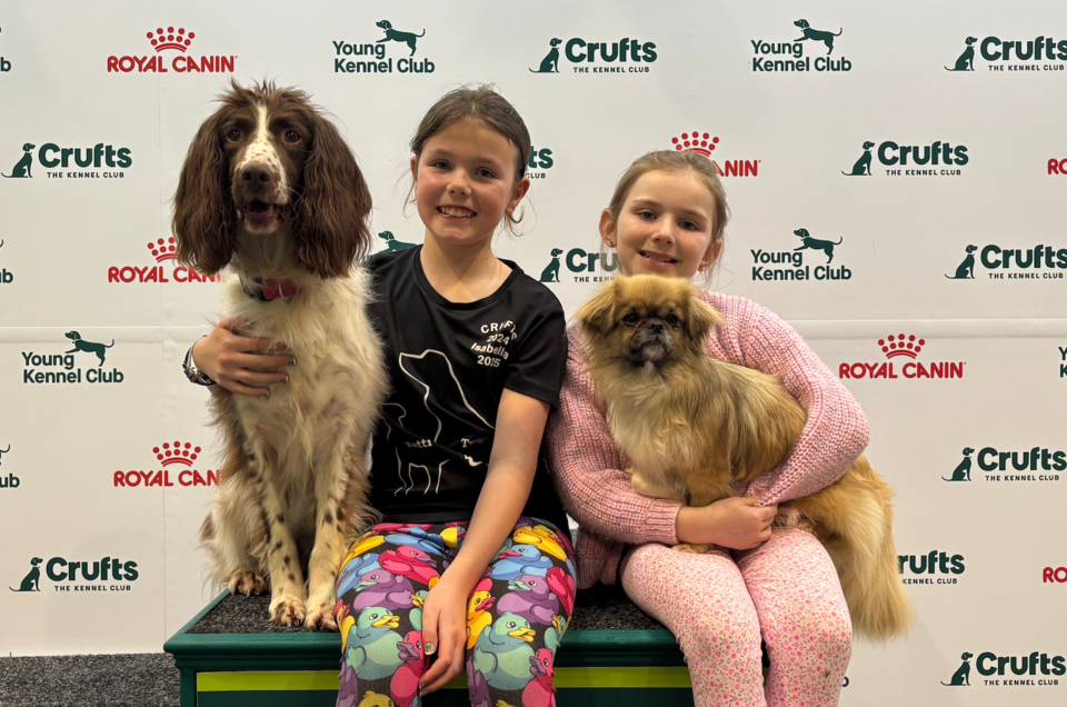 Newsround press packers Isabella and Layla and their dogs