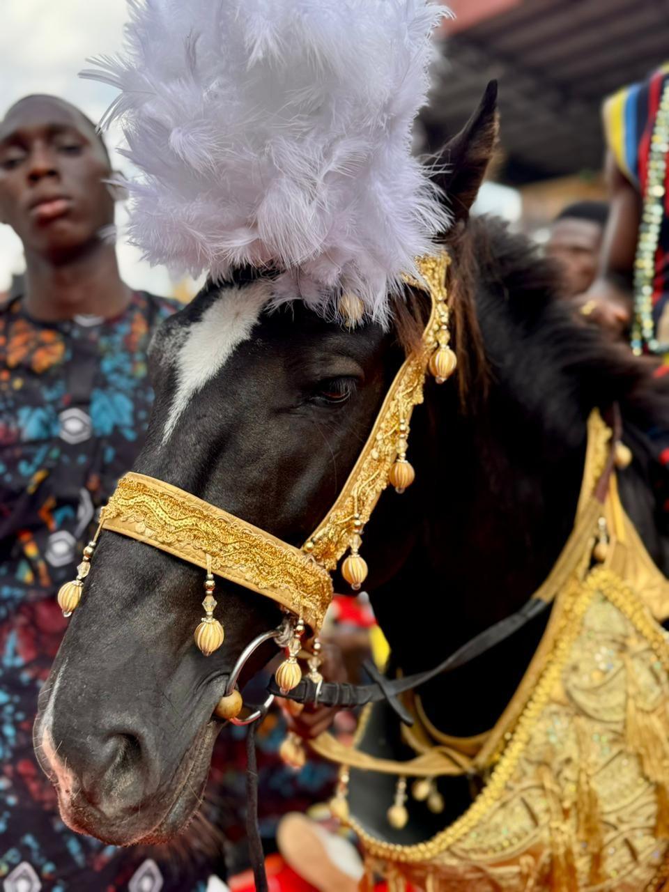 A close-up of a horse's face in gold brocade.