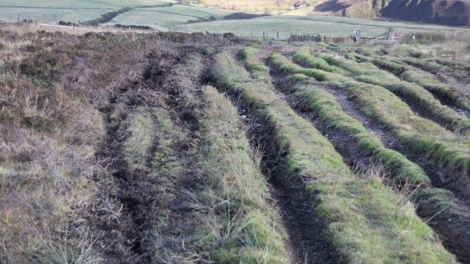 Manx countryside