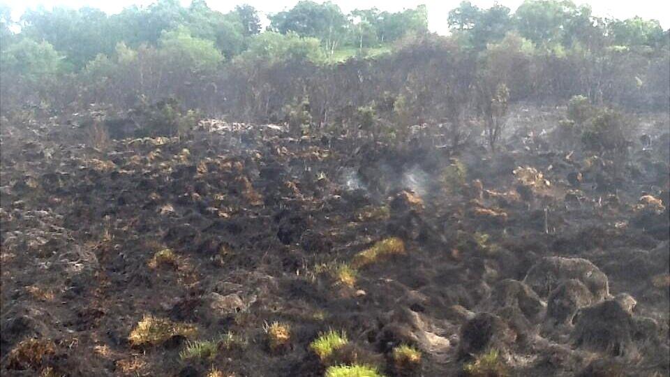 Scene of fire at Chobham Common