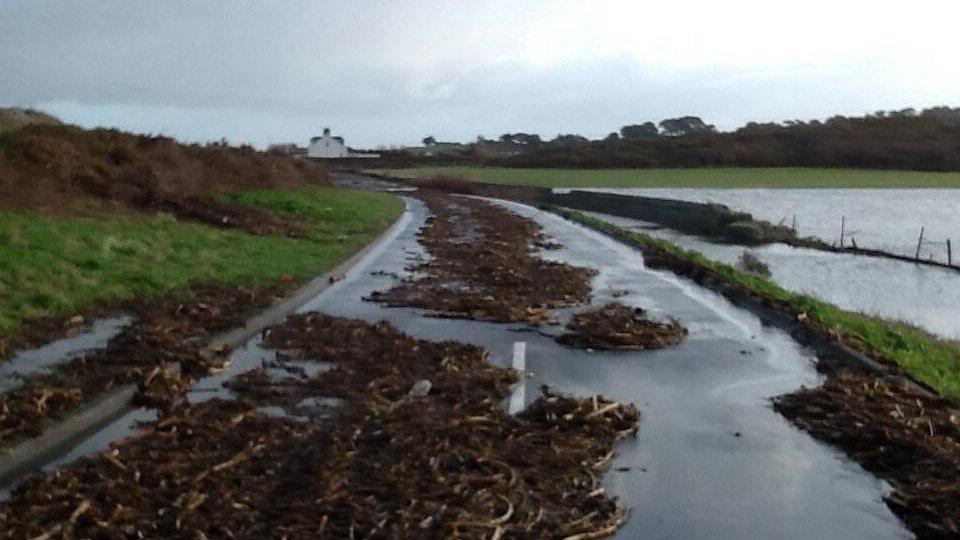 Coast road at L'eree, Guernsey, 2 Feb 2014