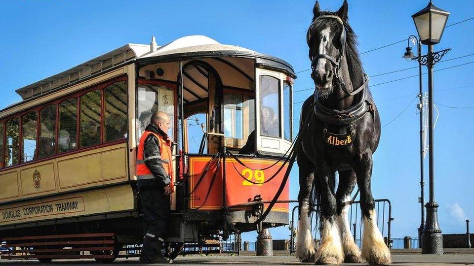 Horse and tram on the Isle of Man