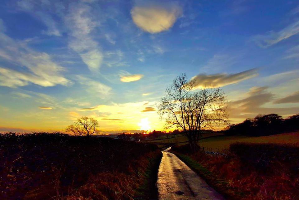 The sun is low in the sky and illuminates a wet country road that runs between fields. There are fluffy clouds in the sky.