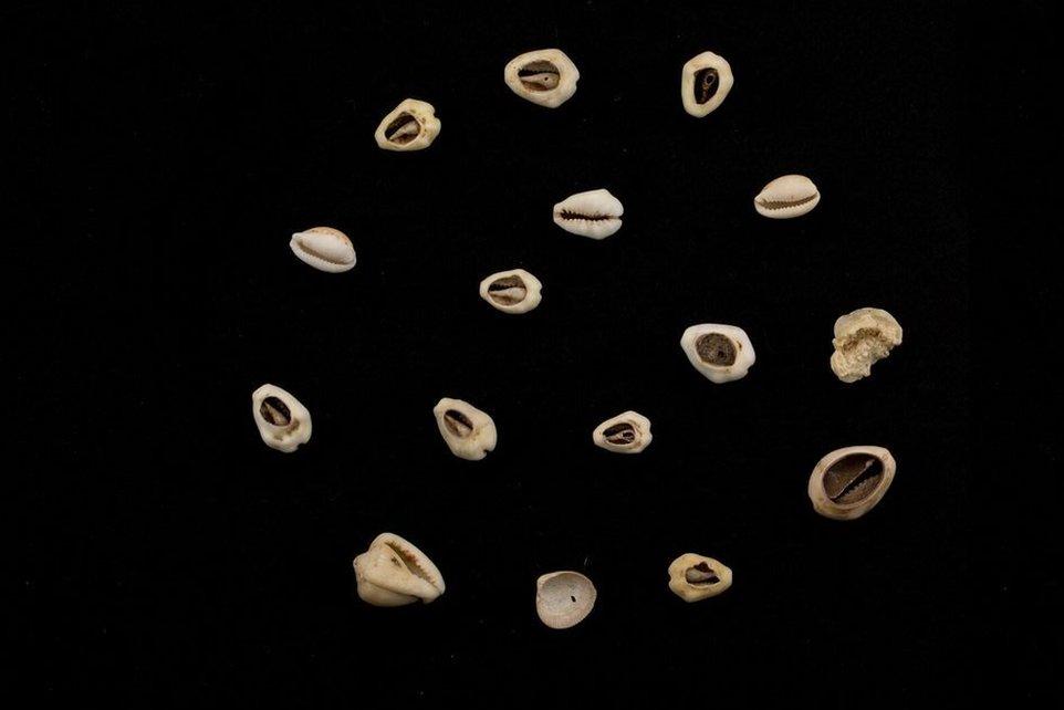 Cowrie shells also form part of the collection