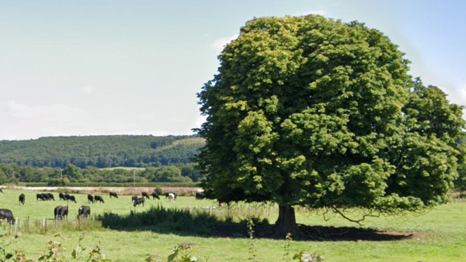 a field on the A40 between Llandovery and Llanwrda