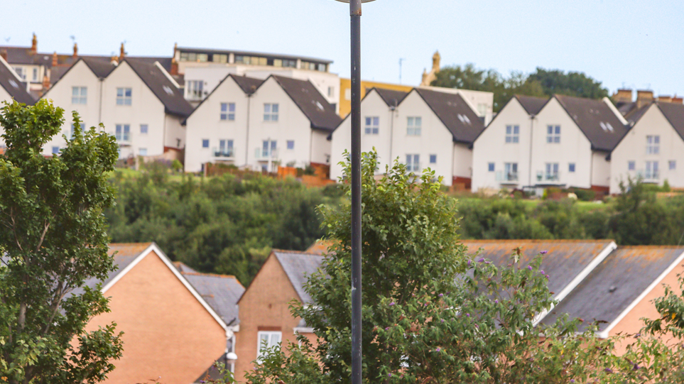 A row of white houses behind a row of brown houses, there is a lamppost in the foreground as well as trees