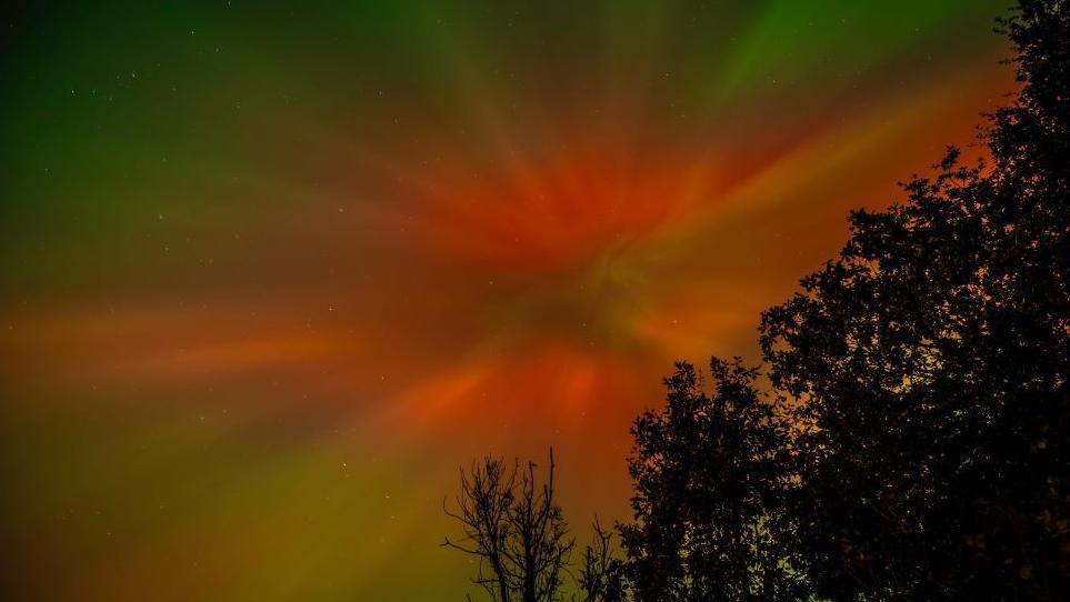 Aurora corona visible from Bathgate. Red and green colours  appear behind trees.