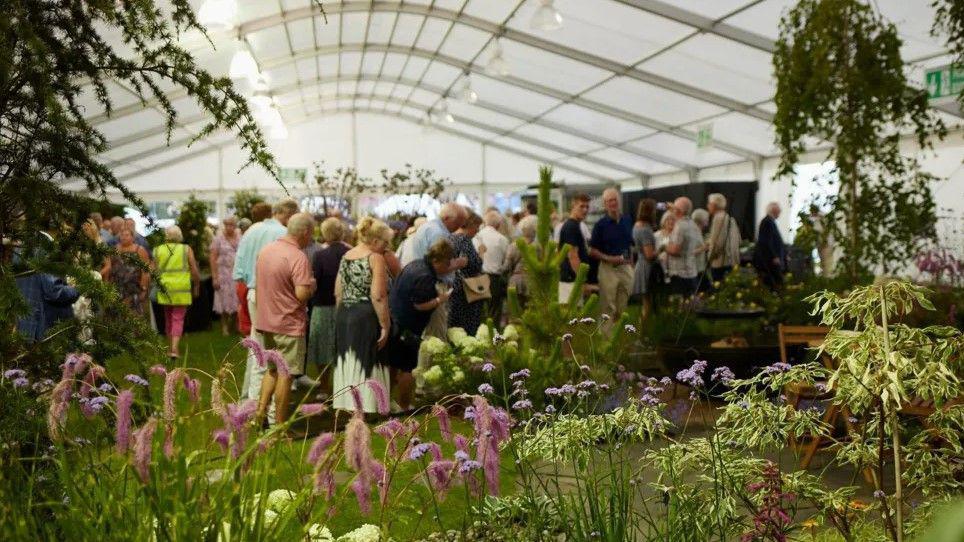 Dozens of people in a large white marquee, seen through foliage