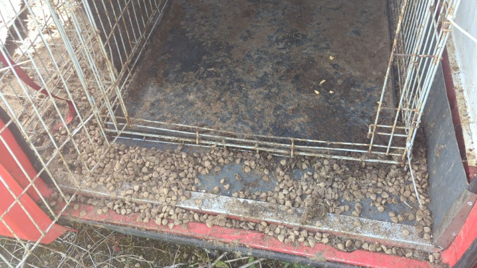 A crate filled with faeces. 