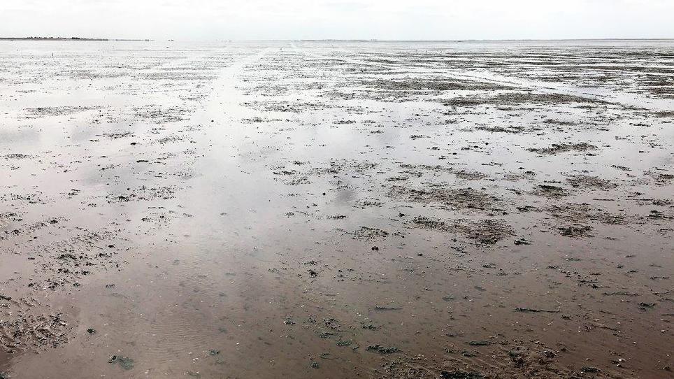 On Stubborn Sand in The Wash west of Heacham. The tracks appear man-made, possibly by fishermen going out to the shellfish beds. Sand is brown and covered with shallow water.