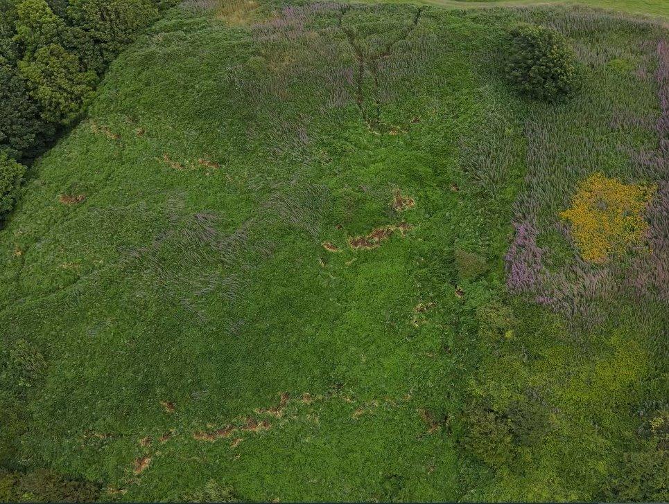 The landslide in Parton