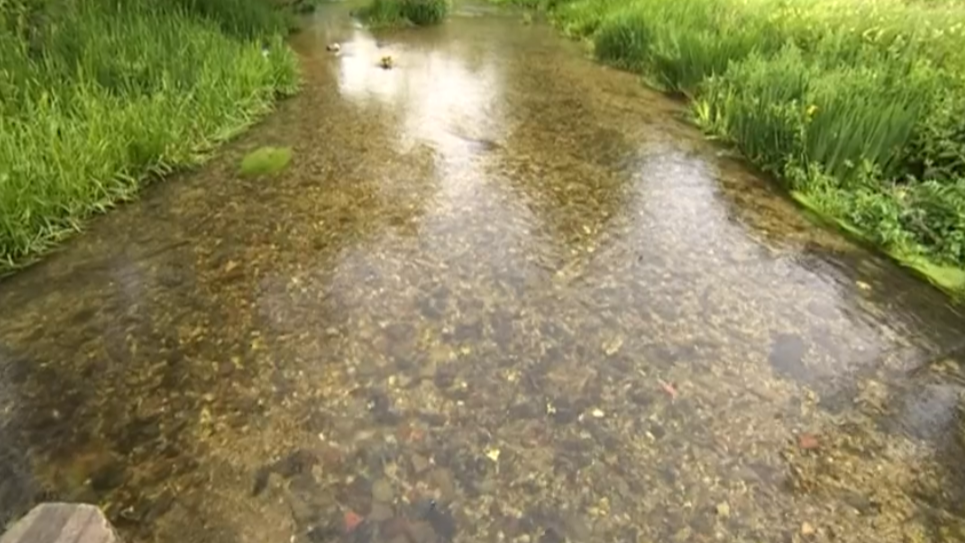 Clear water flowing in the River Kennet